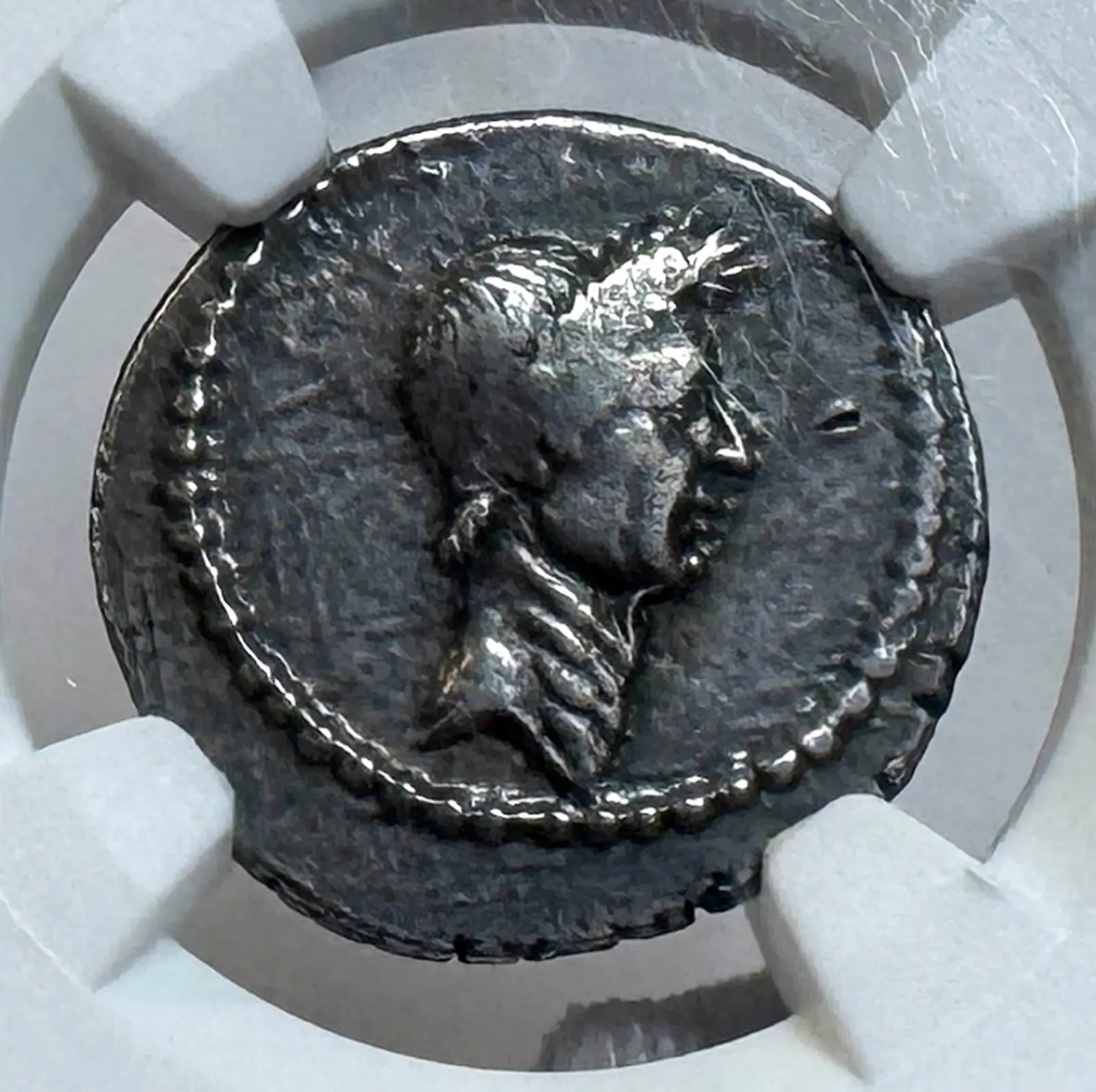 New Arrivals | Pirate Gold Coins
