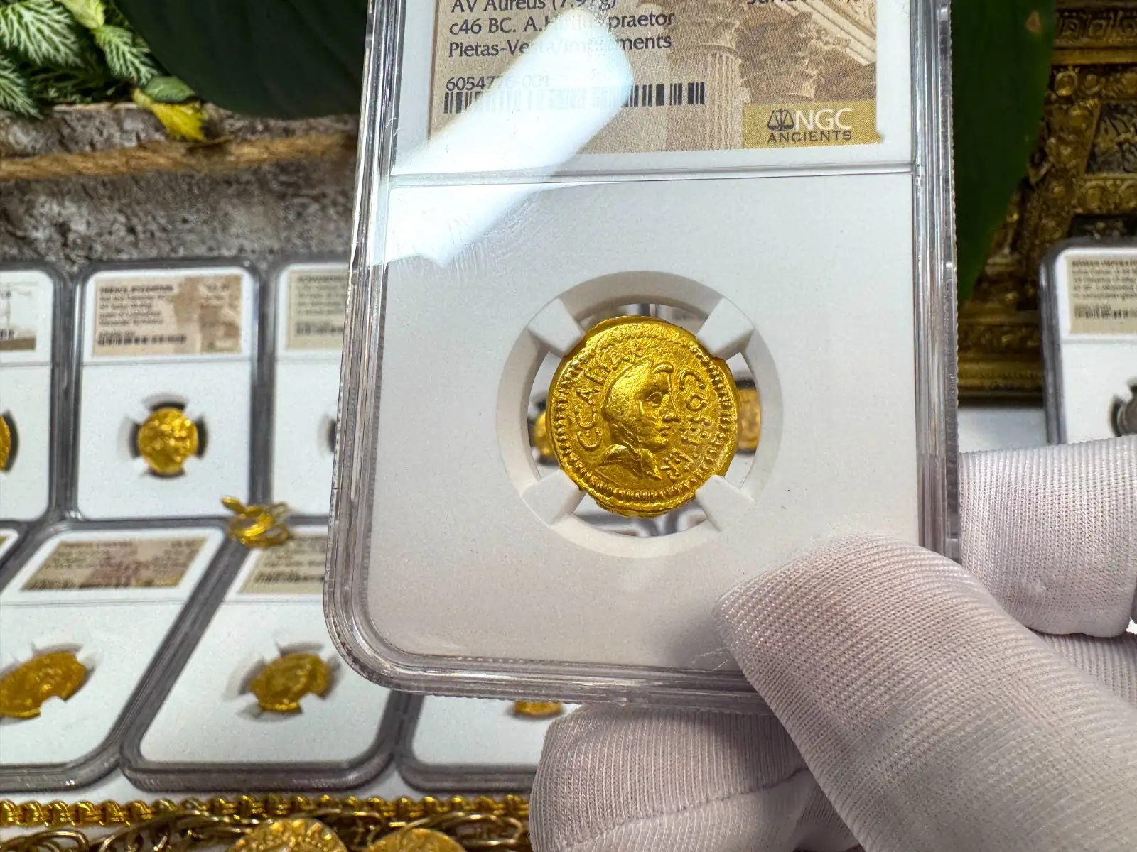 Roman Imperatorial "Julius Caesar 1st of 12 Caesars" 44BC Aureus NGC XF #776-001 3