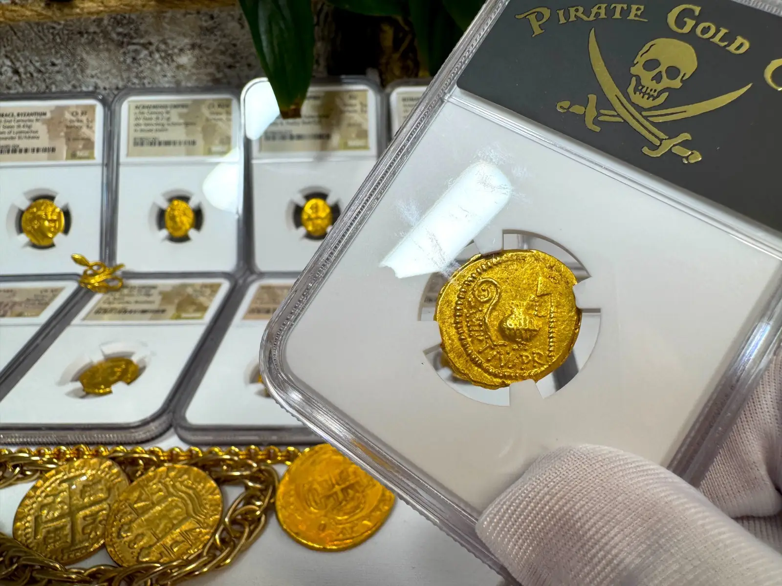 Roman Imperatorial "Julius Caesar 1st of 12 Caesars" 44BC Aureus NGC XF #776-001 19