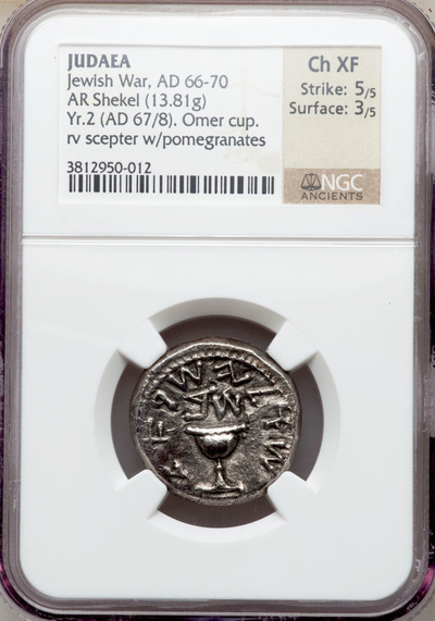 JUDAEA 66AD  SHEKEL  "JEWISH WAR- GREAT REVOLT"  2 YR  ~ NGC Ch XF 5x3 ~  JERUSALEM COIN  JEW 2