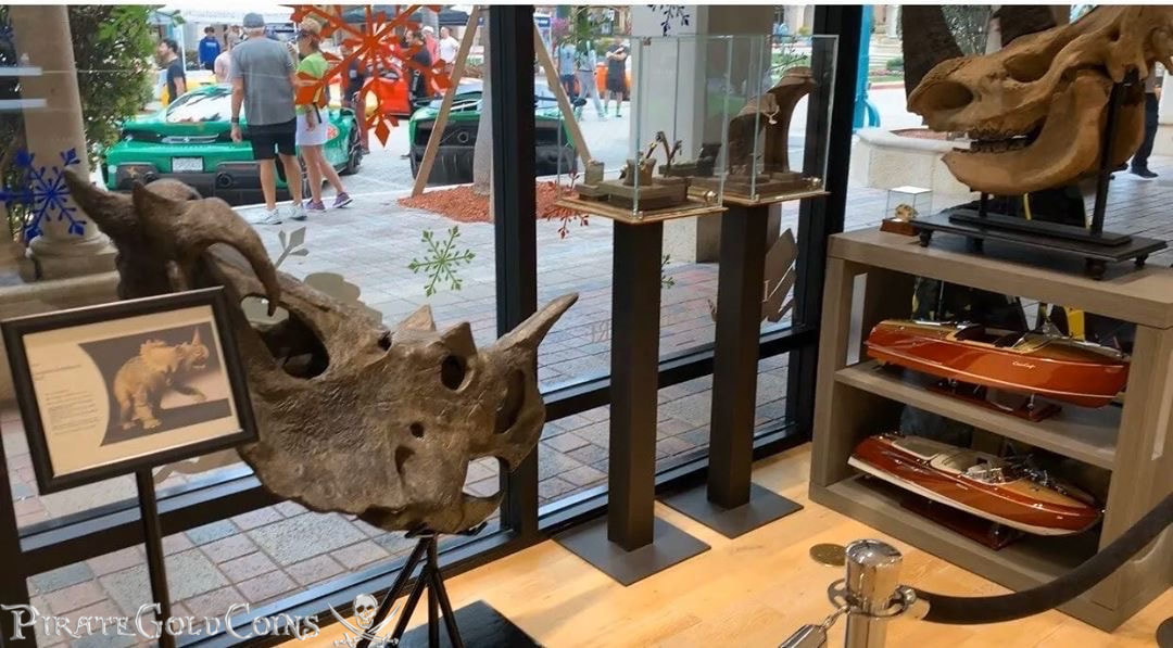 Pirate Gold Coins: Treasures of the Jurassic - Centrosaurus Skull 3