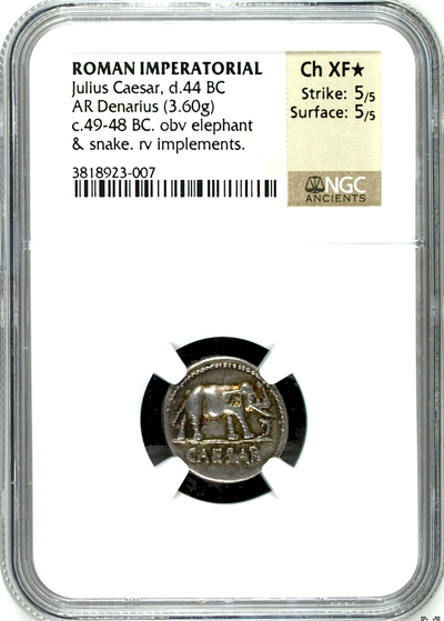 ROMAN IMPERATORIAL  "CAESAR" 44 BC  AR DENARIUS  ~ NGC Ch XF 5/5~ ELEPHANT CAESAR COIN 2