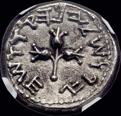 JUDAEA 66AD  SHEKEL  "JEWISH WAR- GREAT REVOLT"  2 YR  ~ NGC Ch XF 5x3 ~  JERUSALEM COIN  JEW 9