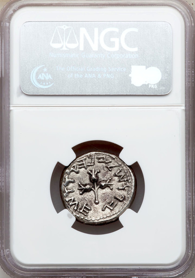 JUDAEA 66AD  SHEKEL  "JEWISH WAR- GREAT REVOLT"  2 YR  ~ NGC Ch XF 5x3 ~  JERUSALEM COIN  JEW 8