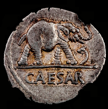 ROMAN IMPERATORIAL "CAESAR" 44BC AR DENARIUS ~ NGC CH XF 4/5 ~ ELEPHANT SILVER COIN