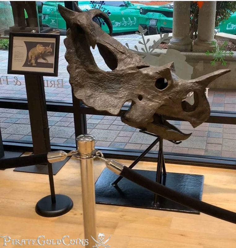 Pirate Gold Coins: Treasures of the Jurassic - Centrosaurus Skull 4