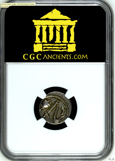 ROMAN IMPERATORIAL  "CAESAR" 44 BC  AR DENARIUS  ~ NGC Ch XF 5/5~ ELEPHANT CAESAR COIN 4