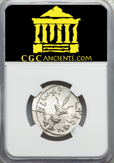 JUDAEA  132 AD  "ARK of the COVENANT"  AR SELA  ~ NGC MS 5x3 ~ BAR KOKHBA REVOLT - JERUSALEM 7