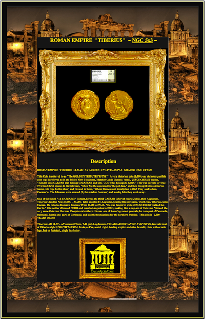 ROMAN EMPIRE  "TIBERIUS"   ~ NGC  VF 5 x 3 ~ 4