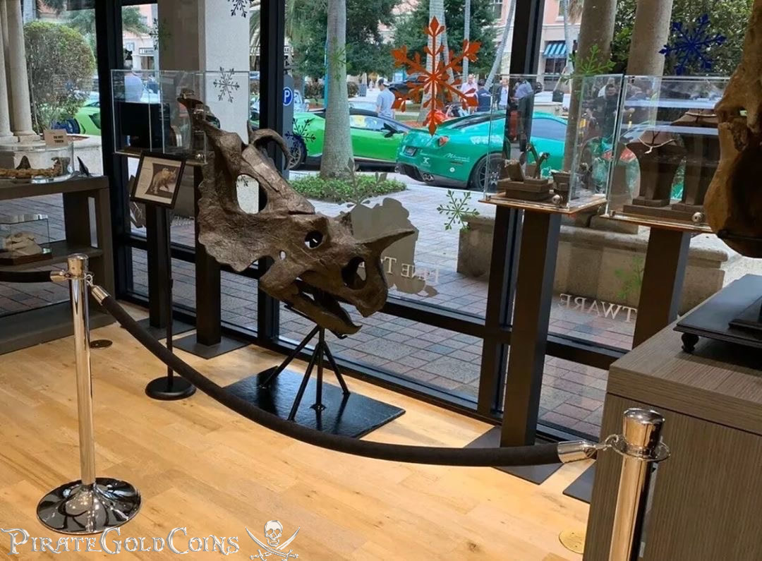 Pirate Gold Coins: Treasures of the Jurassic - Centrosaurus Skull 5