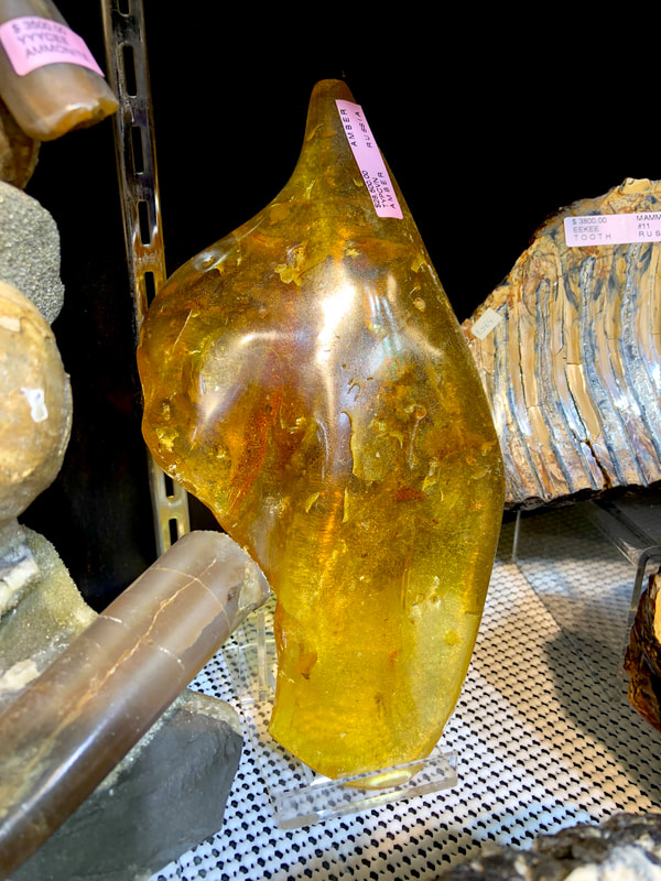 Fossilized Amber | Dinosaur Bones