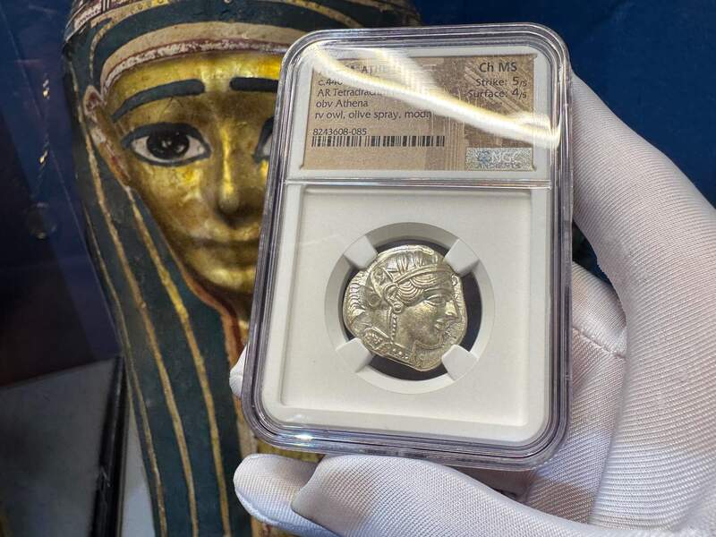 Attica "Owl | Athena" NGC ChMS 5x4 18