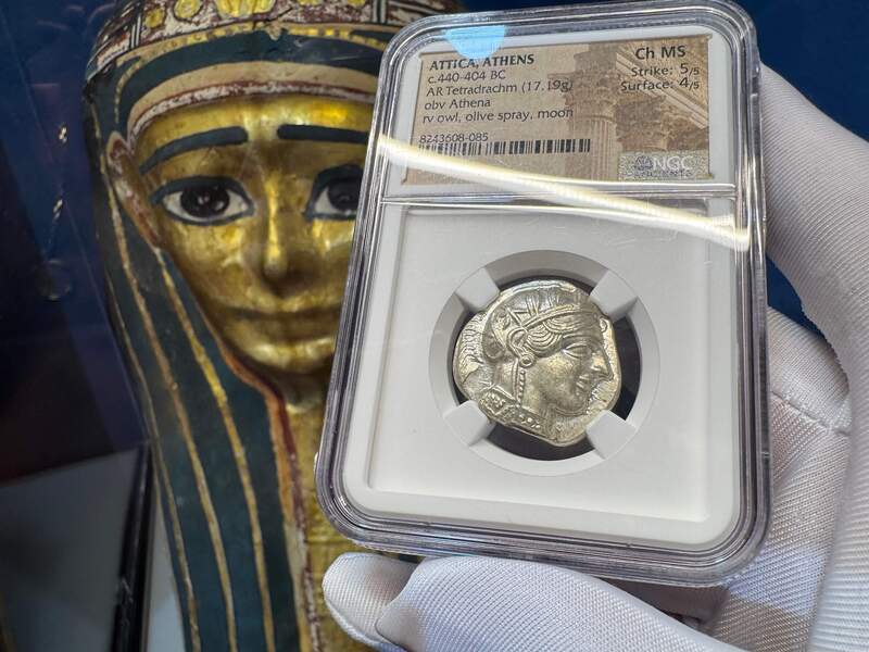 Attica "Owl | Athena" NGC ChMS 5x4 20