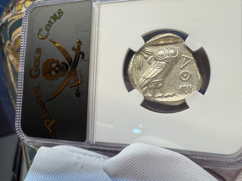 Attica "Owl | Athena" NGC ChMS 5x4 24