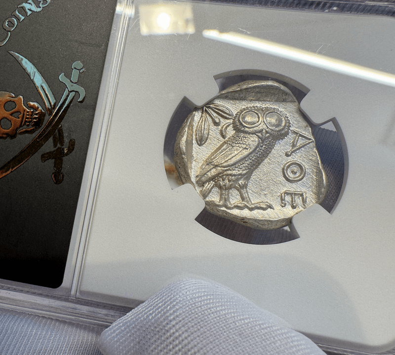 Attica "Owl | Athena" NGC ChMS 5x4 31