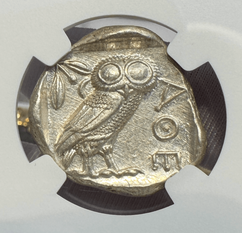 Attica "Owl | Athena" NGC ChMS 5x4 2