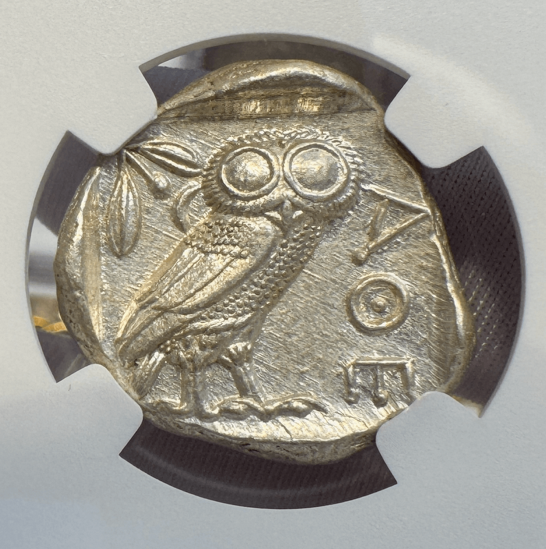 Attica "Owl | Athena" NGC ChMS 5x4 3