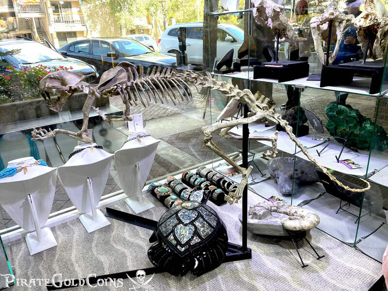 Baby Saber Tooth Tiger | Dinosaur Bones 2