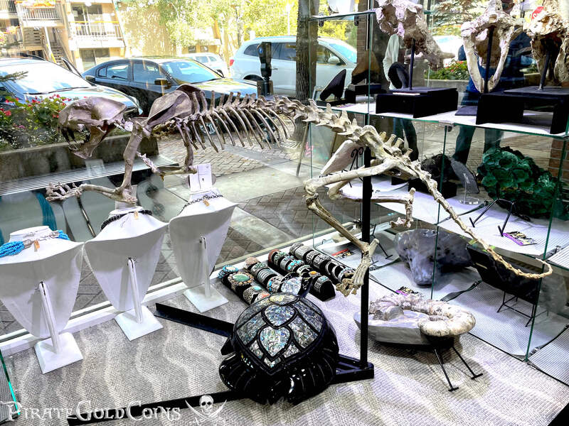 Baby Saber Tooth Tiger | Dinosaur Bones 3