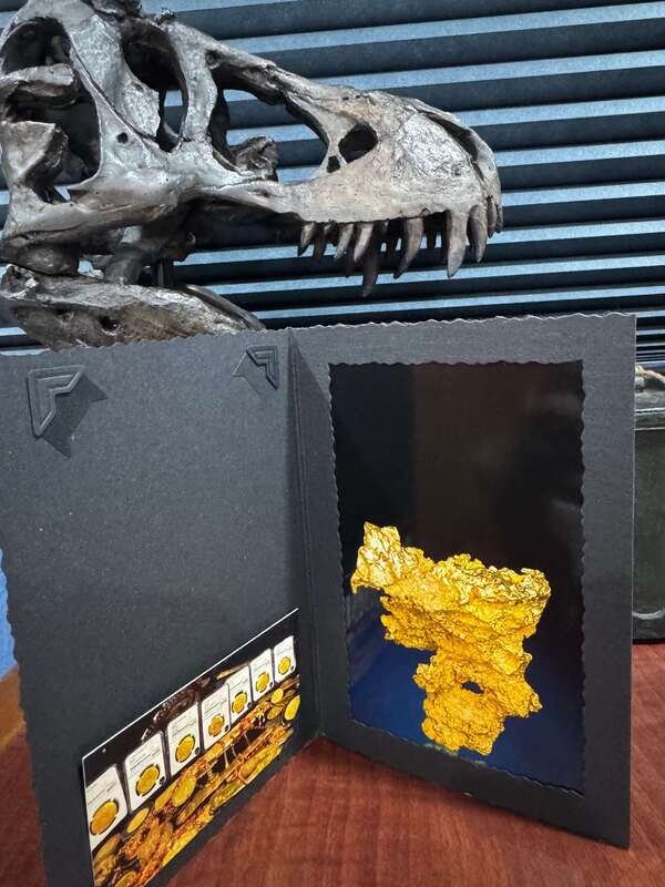 Australian Gold Nugget "Tiger Head" 14.04 grams 2
