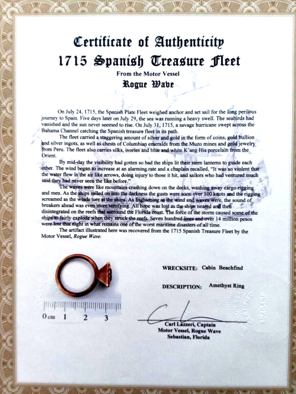 Pirate Gold Coins Treasures of the Earth - Amethyst Ring 6