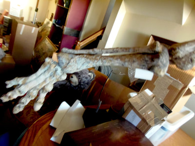 Psittacosaurus *Pair* | Dinosaur Bones 10