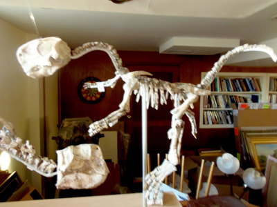 Psittacosaurus *Pair* | Dinosaur Bones 12