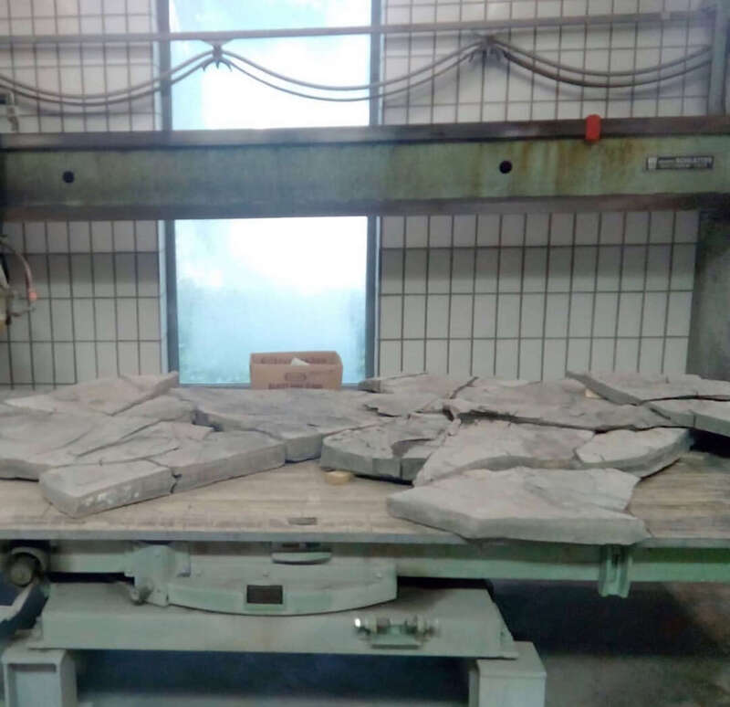 Ichthyosaur Largest so Far, All Original! 22