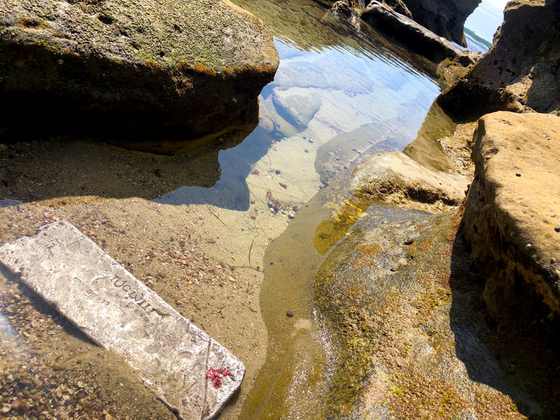 Atocha 1622 Silver Bar 10lbs Ingot with Mel Fisher COA 9