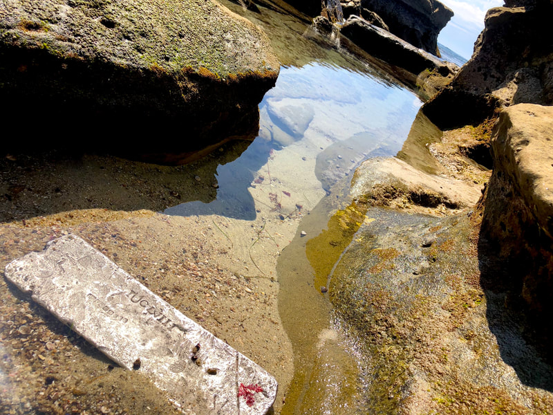 Atocha 1622 Silver Bar 10lbs Ingot with Mel Fisher COA 16