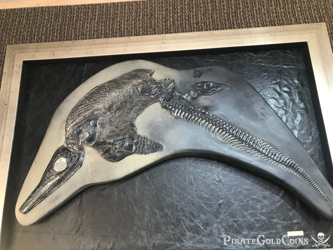 Icthyosaur | Dinosaur Bones
