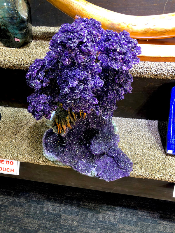 Pirate Gold Coins Treasures of the Earth - Amethyst Bonsai Tree 5