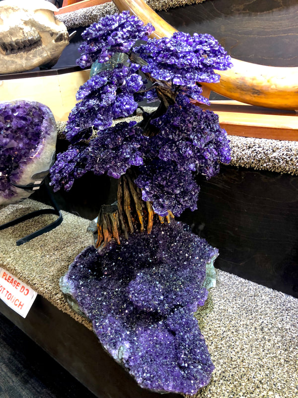 Pirate Gold Coins Treasures of the Earth - Amethyst Bonsai Tree 8