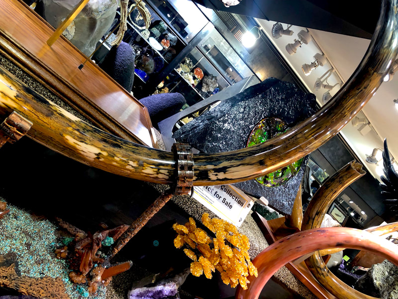 Woolley Mammoth Tusk | Dinosaur Bones 5