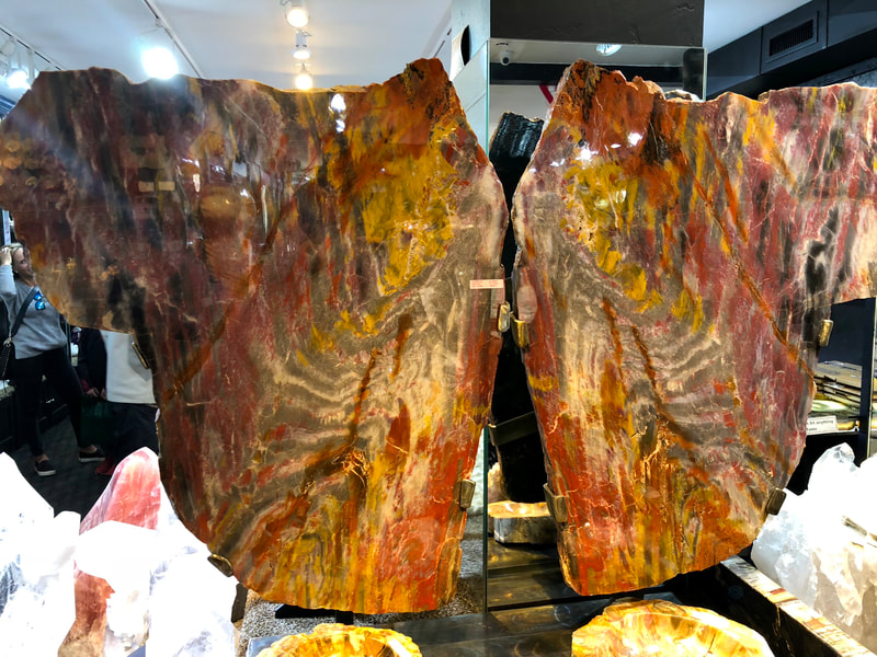 Pirate Gold Coins Treasures of the Earth - Petrified Wood Angel Wings 2