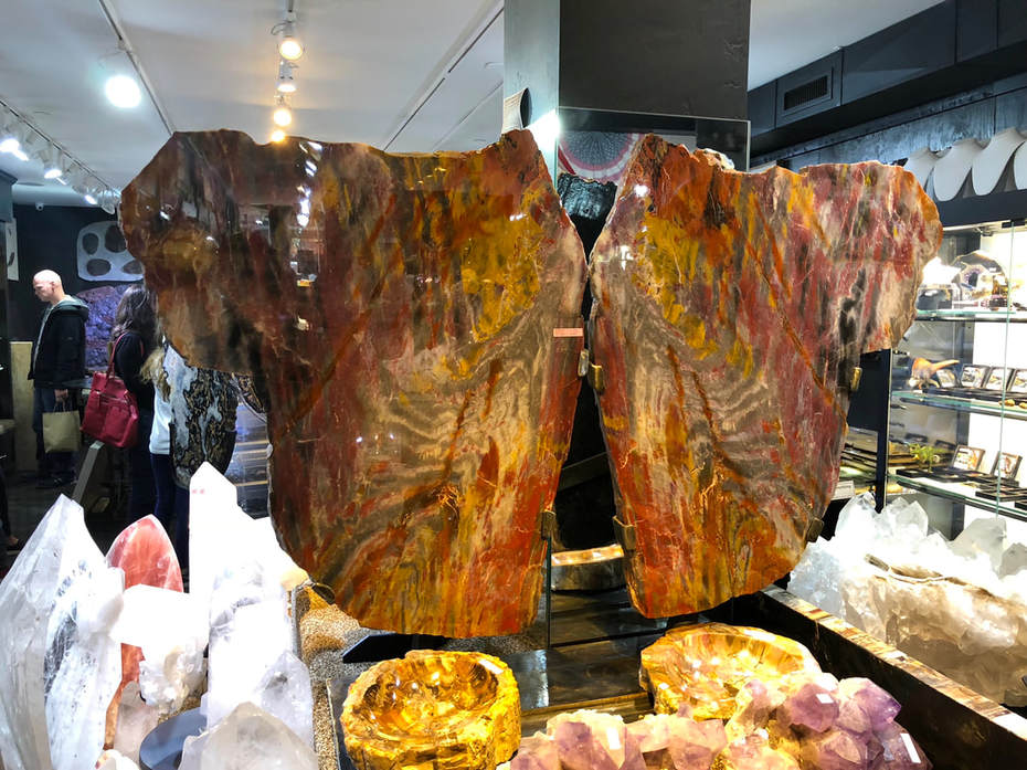 Pirate Gold Coins Treasures of the Earth - Petrified Wood Angel Wings