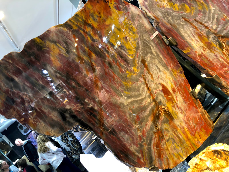 Pirate Gold Coins Treasures of the Earth - Petrified Wood Angel Wings 4