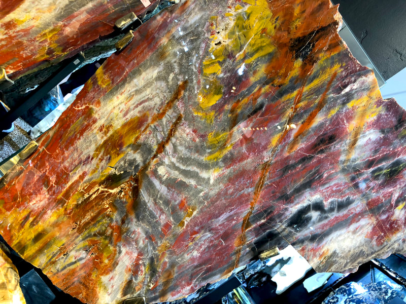 Pirate Gold Coins Treasures of the Earth - Petrified Wood Angel Wings 6