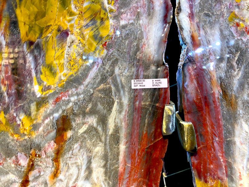 Pirate Gold Coins Treasures of the Earth - Petrified Wood Angel Wings 7