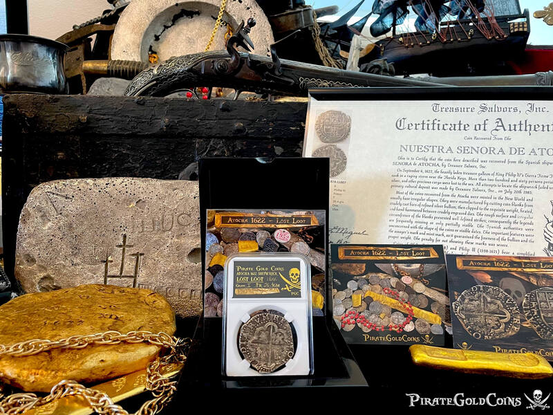 Pirate Gold Coins Treasures of the Earth - Petrified Wood Angel Wings 8