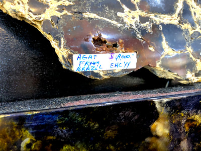 Pirate Gold Coins Treasures of the Earth - Brazilian Agate Black & Gold 6