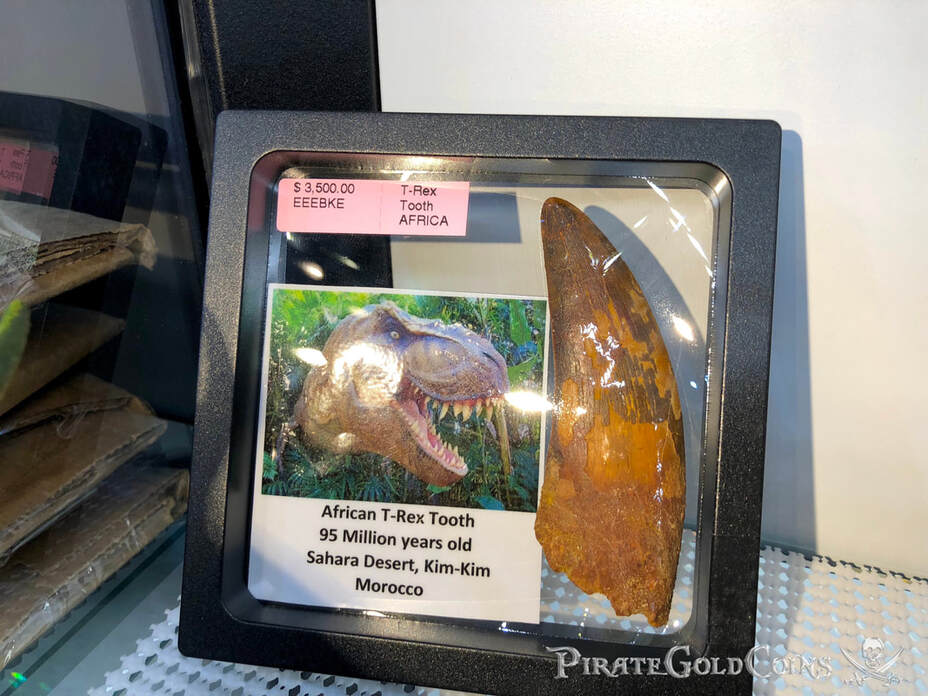 Crab Fossils | Dinosaur Bones 7