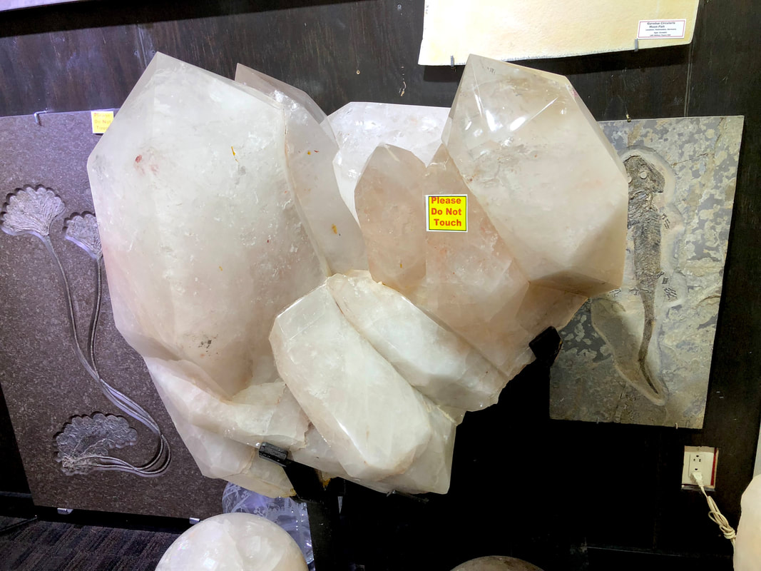 Pirate Gold Coins: Treasures of the Earth - Quartz Crystal on Steel Stand