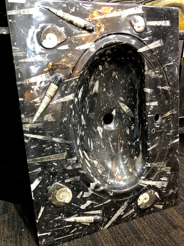 Fossilized Sink | Dinosaur Bones 3