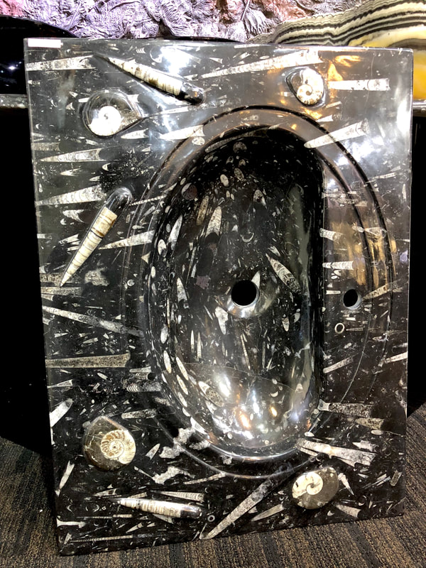 Fossilized Sink | Dinosaur Bones