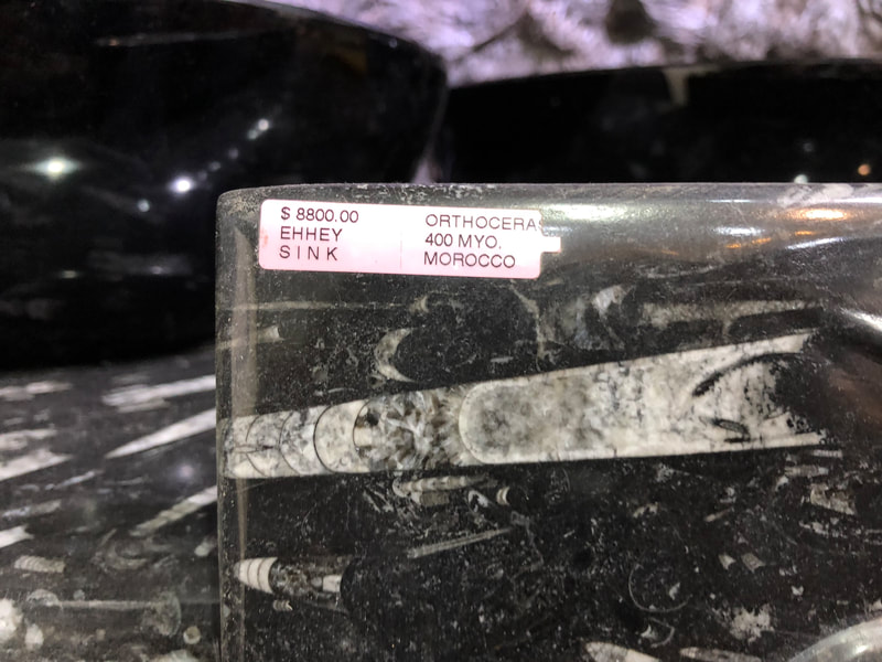 Fossilized Sink | Dinosaur Bones 6