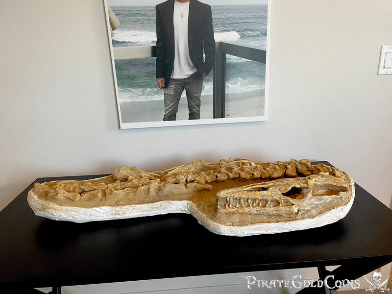 Pirate Gold Coins: Treasures of the Earth - Mesolite 7