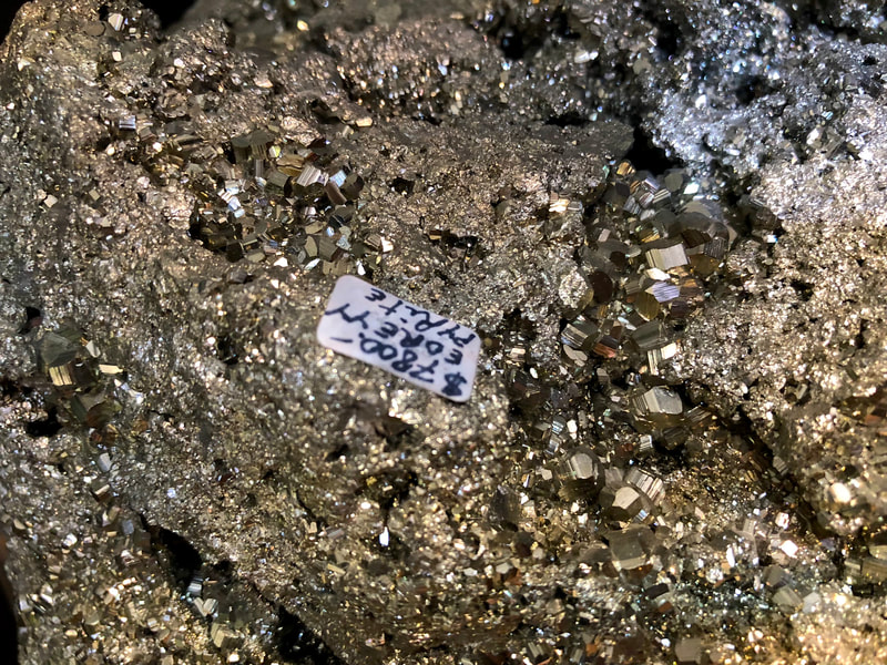 Pirate Gold Coins: Treasures of the Earth - Pyrite Mineral 2