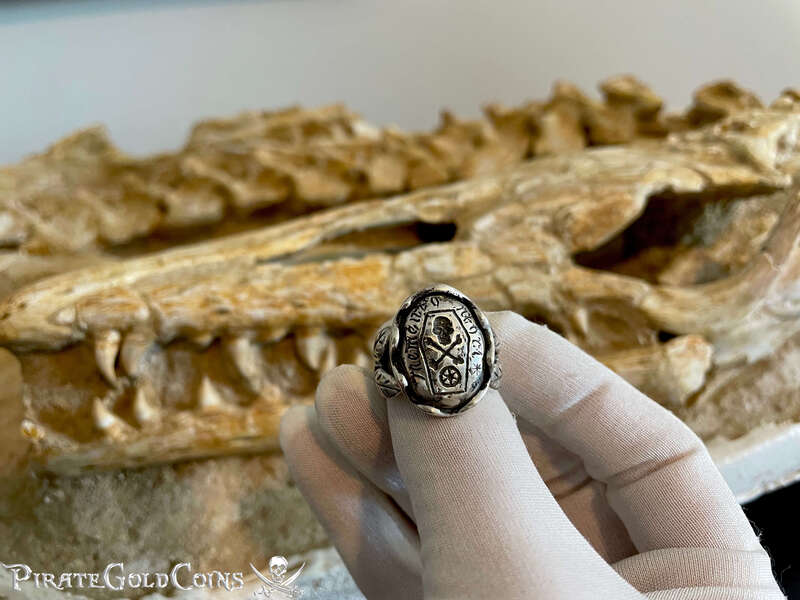 Memento Mori Georgian 18th Century Skull and Bones Ring 15