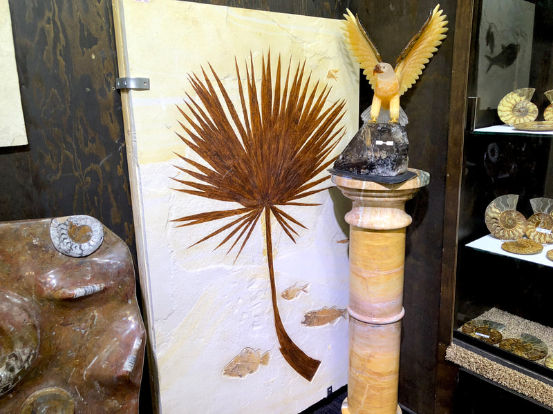 Palm Leaf | Dinosaur Bones 5